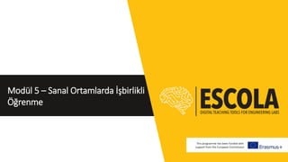 Modül 5 – Sanal Ortamlarda İşbirlikli
Öğrenme
This programme has been funded with
support from the European Commission
 