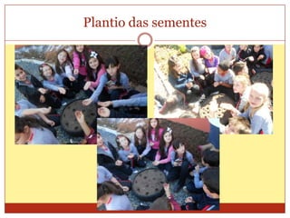 Plantio das sementes

 