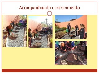 Acompanhando o crescimento

 