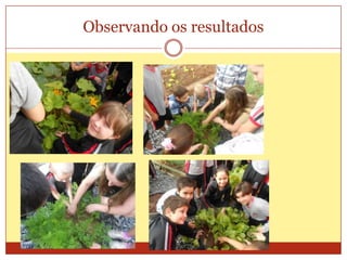 Observando os resultados

 