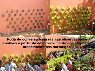 Roda de conversa baseada nas observações e
análises a partir do desenvolvimento das etapas de
crescimento das hortaliças.

 