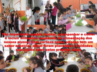 Tão importante quanto plantar, acompanhar e colher
é incluir alimentos saudáveis na alimentação dos
nossos alunos. Com certeza essas alfaces tem um
sabor especial, afinal foram plantadas e cuidadas
com muito amor pelas próprias mãos

 