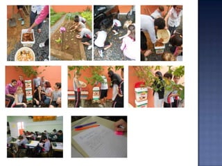 Projeto Interdisciplinar - Horta Escolar 