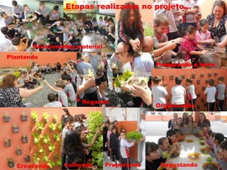 Etapas realizadas no projeto...

Selecionando material
Plantando
Preparando a terra

Regando

Crescendo

Colhendo

Preparando

Organizando

Degustando

 