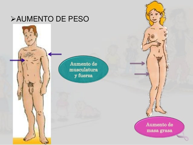 El foro de los pequeños miembros