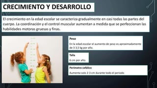 CRECIMIENTO Y DESARROLLO
El crecimiento en la edad escolar se caracteriza gradualmente en casi todas las partes del
cuerpo. La coordinación y el control muscular aumentan a medida que se perfeccionan las
habilidades motoras gruesas y finas.
Peso
En la edad escolar el aumento de peso es aproximadamente
de 3 3,5 kg por año.
Talla
6 cm por año.
Perímetro cefálico
Aumenta solo 2-3 cm durante todo el periodo
 