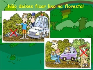 Não deixes ficar lixo na floresta! www.escoteiros.org 