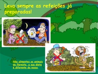 Leva sempre as refeições já preparadas! Não alimentes os animais da floresta, a sua dieta é diferente da nossa . www.escoteiros.org 