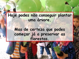 Hoje podes não conseguir plantar uma árvore. Mas de certeza que podes começar já a preservar as florestas. 