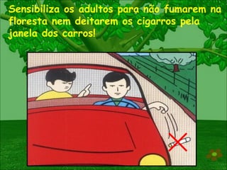 Sensibiliza os adultos para não fumarem na floresta nem deitarem os cigarros pela janela dos carros! 