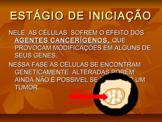 ESTÁGIO DE INICIAÇÃOESTÁGIO DE INICIAÇÃO
NELE AS CÉLULAS SOFREM O EFEITO DOSNELE AS CÉLULAS SOFREM O EFEITO DOS
AGENTES CANCERÍGENOS,AGENTES CANCERÍGENOS, QUEQUE
PROVOCAM MODIFICAÇÕES EM ALGUNS DEPROVOCAM MODIFICAÇÕES EM ALGUNS DE
SEUS GENES.SEUS GENES.
NESSA FASE AS CÉLULAS SE ENCONTRAMNESSA FASE AS CÉLULAS SE ENCONTRAM
GENETICAMENTE ALTERADAS,PORÉMGENETICAMENTE ALTERADAS,PORÉM
AINDA NÃO É POSSIVEL SE DETECTAR UMAINDA NÃO É POSSIVEL SE DETECTAR UM
TUMOR.TUMOR.
 