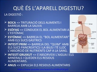 QUÈ ÉS L’APARELL DIGESTIU?
LA DIGESTIÓ :
 BOCA => TRITURACIÓ DELS ALIMENTS I
BARREJA AMB LA SALIVA
 ESÒFAG => CONDUEIX EL BOL ALIMENTARI A
L’ESTÓMAC
 ESTÓMAC => BARREJA EL “BOL ALIMENTARI”
AMB ELS SUCS GÀSTRICS
 INTESTÍ PRIM => BARREJA DEL “QUIM” AMB
ELS SUCS PANCREÀTICS I LA BILIS I TÉ LLOC
L’ABSORCIÓ DE NUTRIENTS CAP A LA SANG.
 INTESTÍ GRUIXUT => S’ABSORVEIX L’AIGUA I ELS
MINERALS I QUEDEN ELS RESIDUS
ALIMENTARIS.
 ANUS => EXPULSA ELS RESIDUS ALIMENTARIS
https://www.youtube.com/watch?v=OrBXuPOFqn0
 