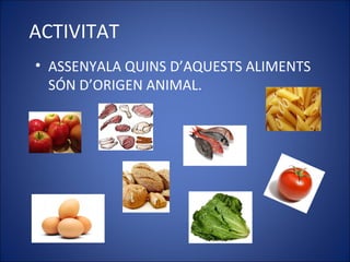 ACTIVITAT
• ASSENYALA QUINS D’AQUESTS ALIMENTS
SÓN D’ORIGEN ANIMAL.
 