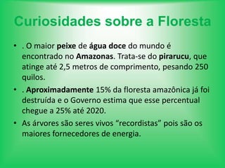 > São as Florestas que nos fornecem a maior parte do oxigénio que respiramos;