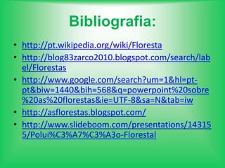 As florestas mais afectadasA floresta mais afectada de todas é a floresta Amazónica mas também existem outro tipo de florestas que também são afectadas pela poluição como por exemplo a floresta tropical na África. As florestas mais afectadas são na maior parte das vezes as maiores.