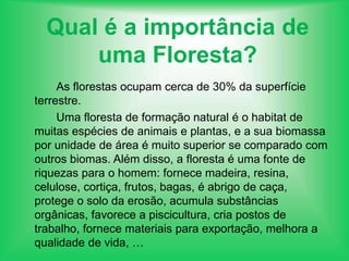 Qual é a importância de uma Floresta?As florestas ocupam cerca de 30% da superfície terrestre.		Uma floresta de formação natural é o habitat de muitas espécies de animais e plantas, e a sua biomassa por unidade de área é muito superior se comparado com outros biomas. Além disso, a floresta é uma fonte de riquezas para o homem: fornece madeira, resina, celulose, cortiça, frutos, bagas, é abrigo de caça, protege o solo da erosão, acumula substâncias orgânicas, favorece a piscicultura, cria postos de trabalho, fornece materiais para exportação, melhora a qualidade de vida, …