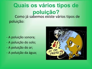 > Têm funções de protecção do solo contra e erosão, de controlo do ciclo e da qualidade da água;