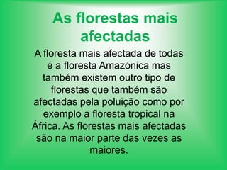 > Concentram a maior parte da biodiversidade terrestre, nomeadamente, de espécies vegetais e animais;