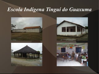 Escola Indígena Tinguí do Guaxuma 