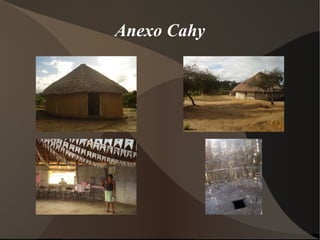 Anexo Cahy 