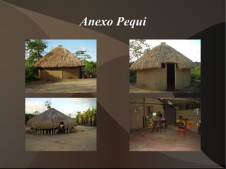 Anexo Pequi 