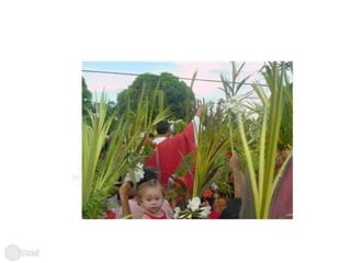 Formação Litúrgica Catequética 