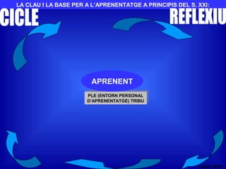 LA CLAU I LA BASE PER A L’APRENENTATGE A PRINCIPIS DEL S. XXI:
PLE (ENTORN PERSONAL
D’APRENENTATGE) TRIBU
PLE (ENTORN PERSONAL
D’APRENENTATGE) TRIBU
APRENENT
nalart 2010
 