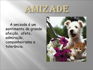 A amizade é um sentimento de grande afeição,  afeto, admiração, companheirismo e tolerância.  