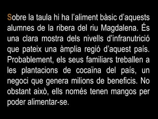S obre la taula hi ha l’aliment bàsic d’aquests alumnes de la ribera del riu Magdalena. És una clara mostra dels nivells d’infranutrició que pateix una àmplia regió d’aquest país. Probablement, els seus familiars treballen a les plantacions de cocaïna del país, un negoci que genera milions de beneficis. No obstant això, ells només tenen mangos per poder alimentar-se.  