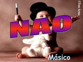 Másico NAO 