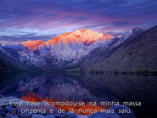 Essa  frase  acomodou-se  na  minha  massa  cinzenta  e  de  lá  nunca  mais  saiu. 