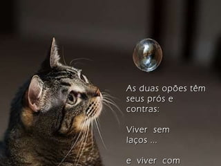 As duas opões têm seus prós e contras:  Viver  sem  laços ... e  viver  com  laços. 