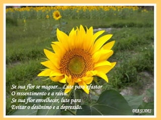 Se sua flor se magoar... Lute para afastar O ressentimento e a raiva. Se sua flor envelhecer, lute para Evitar o desânimo e a depressão. DEA SLIDES 