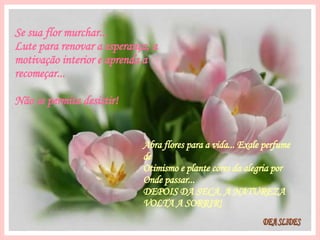 Se sua flor murchar... Lute para renovar a esperança, a motivação interior e aprenda a recomeçar... Não se permita desistir! DEA SLIDES Abra flores para a vida... Exale perfume de Otimismo e plante cores da alegria por Onde passar... DEPOIS DA SECA, A NATUREZA VOLTA A SORRIR! 
