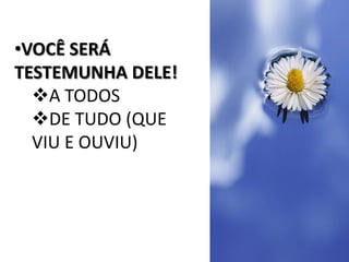  CONHECER A SUA VONTADE (DE DEUS)