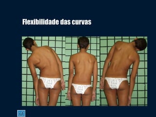 Flexibilidade das curvas
 