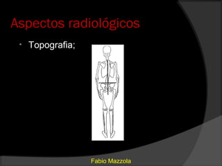 Aspectos radiológicos
 •   Topografia;




                   Fabio Mazzola
 