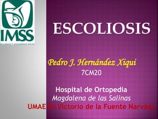 Pedro J. Hernández Xiqui
7CM20

Hospital de Ortopedia
Magdalena de las Salinas
UMAE Dr.Victorio de la Fuente Narváez

 