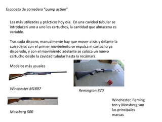 Escopeta de corredera “pump action”


  Las más utilizadas y prácticas hoy día. En una cavidad tubular se
  introducen uno a uno los cartuchos, la cantidad que almacena es
  variable.

  Tras cada disparo, manualmente hay que mover atrás y delante la
  corredera; con el primer movimiento se expulsa el cartucho ya
  disparado, y con el movimiento adelante se coloca un nuevo
  cartucho desde la cavidad tubular hasta la recámara.

  Modelos más usuales




  Winchester M1897                          Remington 870

                                                                Winchester, Reming
                                                                ton y Mossberg son
                                                                las principales
  Mossberg 500
                                                                marcas
 