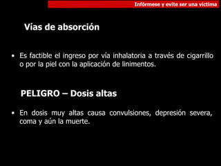 En dosis muy altas causa convulsiones, depresión severa, coma y aún la muerte.  PELIGRO – Dosis altas Vías de absorción Es factible el ingreso por vía inhalatoria a través de cigarrillo o por la piel con la aplicación de linimentos. 