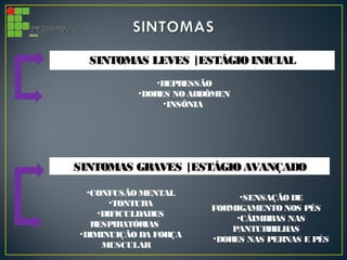 SINTOMAS LEVES |ESTÁGIO INICIALSINTOMAS LEVES |ESTÁGIO INICIAL
•DEPRESSÃO
•DORES NOABDÔMEN
•INSÔNIA
SINTOMAS GRAVES |ESTÁGIO AVANÇADOSINTOMAS GRAVES |ESTÁGIO AVANÇADO
•CONFUSÃO MENTAL
•TONTURA
•DIFICULDADES
RESPIRATÓRIAS
•DIMINUIÇÃO DA FORÇA
MUSCULAR
•SENSAÇÃODE
FORMIGAMENTONOS PÉS
•CÂIMBRAS NAS
PANTURRILHAS
•DORES NAS PERNAS E PÉS
 