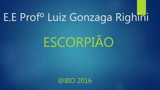 E.E Profº Luiz Gonzaga Righini
ESCORPIÃO
@BIO 2016
 