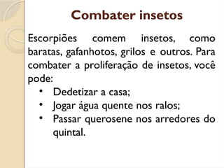 Combater insetos
Escorpiões comem insetos, como
baratas, gafanhotos, grilos e outros. Para
combater a proliferação de insetos, você
pode:
• Dedetizar a casa;
• Jogar água quente nos ralos;
• Passar querosene nos arredores do
quintal.
 