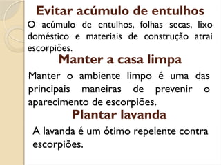 Manter a casa limpa
O acúmulo de entulhos, folhas secas, lixo
doméstico e materiais de construção atrai
escorpiões.
Evitar acúmulo de entulhos
Manter o ambiente limpo é uma das
principais maneiras de prevenir o
aparecimento de escorpiões.
A lavanda é um ótimo repelente contra
escorpiões.
Plantar lavanda
 