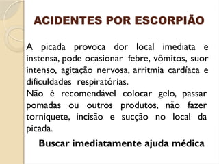 ACIDENTES POR ESCORPIÃO
A picada provoca dor local imediata e
instensa, pode ocasionar febre, vômitos, suor
intenso, agitação nervosa, arritmia cardíaca e
dificuldades respiratórias.
Não é recomendável colocar gelo, passar
pomadas ou outros produtos, não fazer
torniquete, incisão e sucção no local da
picada.
Buscar imediatamente ajuda médica
 