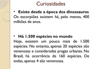 Curiosidades
• Existe desde a época dos dinossauros
Os escorpiões existem há, pelo menos, 400
milhões de anos.
• Há 1.500 espécies no mundo
Hoje, existem um pouco mais de 1.500
espécies. No entanto, apenas 20 espécies são
venenosas e consideradas pragas urbanas. No
Brasil, há ocorrência de 160 espécies. De
todas, apenas 4 são venenosas.
 