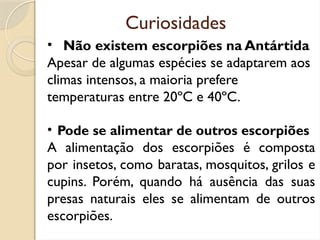 Curiosidades
• Não existem escorpiões na Antártida
Apesar de algumas espécies se adaptarem aos
climas intensos, a maioria prefere
temperaturas entre 20ºC e 40ºC.
• Pode se alimentar de outros escorpiões
A alimentação dos escorpiões é composta
por insetos, como baratas, mosquitos, grilos e
cupins. Porém, quando há ausência das suas
presas naturais eles se alimentam de outros
escorpiões.
 