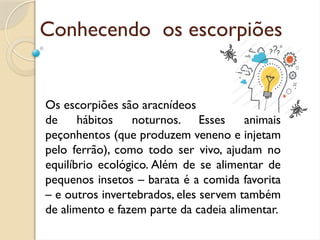 Conhecendo os escorpiões
Os escorpiões são aracnídeos
de hábitos noturnos. Esses animais
peçonhentos (que produzem veneno e injetam
pelo ferrão), como todo ser vivo, ajudam no
equilíbrio ecológico. Além de se alimentar de
pequenos insetos – barata é a comida favorita
– e outros invertebrados, eles servem também
de alimento e fazem parte da cadeia alimentar.
 