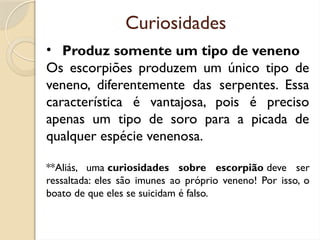 Curiosidades
• Produz somente um tipo de veneno
Os escorpiões produzem um único tipo de
veneno, diferentemente das serpentes. Essa
característica é vantajosa, pois é preciso
apenas um tipo de soro para a picada de
qualquer espécie venenosa.
**Aliás, uma curiosidades sobre escorpião deve ser
ressaltada: eles são imunes ao próprio veneno! Por isso, o
boato de que eles se suicidam é falso.
 