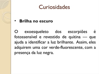 Curiosidades
• Brilha no escuro
O exoesqueleto dos escorpiões é
fotossensível e revestido de quitina — que
ajuda a identificar a luz brilhante. Assim, eles
adquirem uma cor verde-fluorescente, com a
presença da luz negra.
 